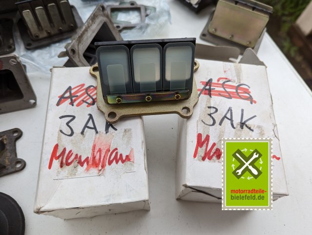 PXL_20240518_155211217